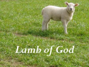 lamb-of-god
