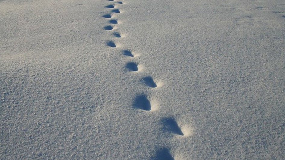 Jesus Footprints