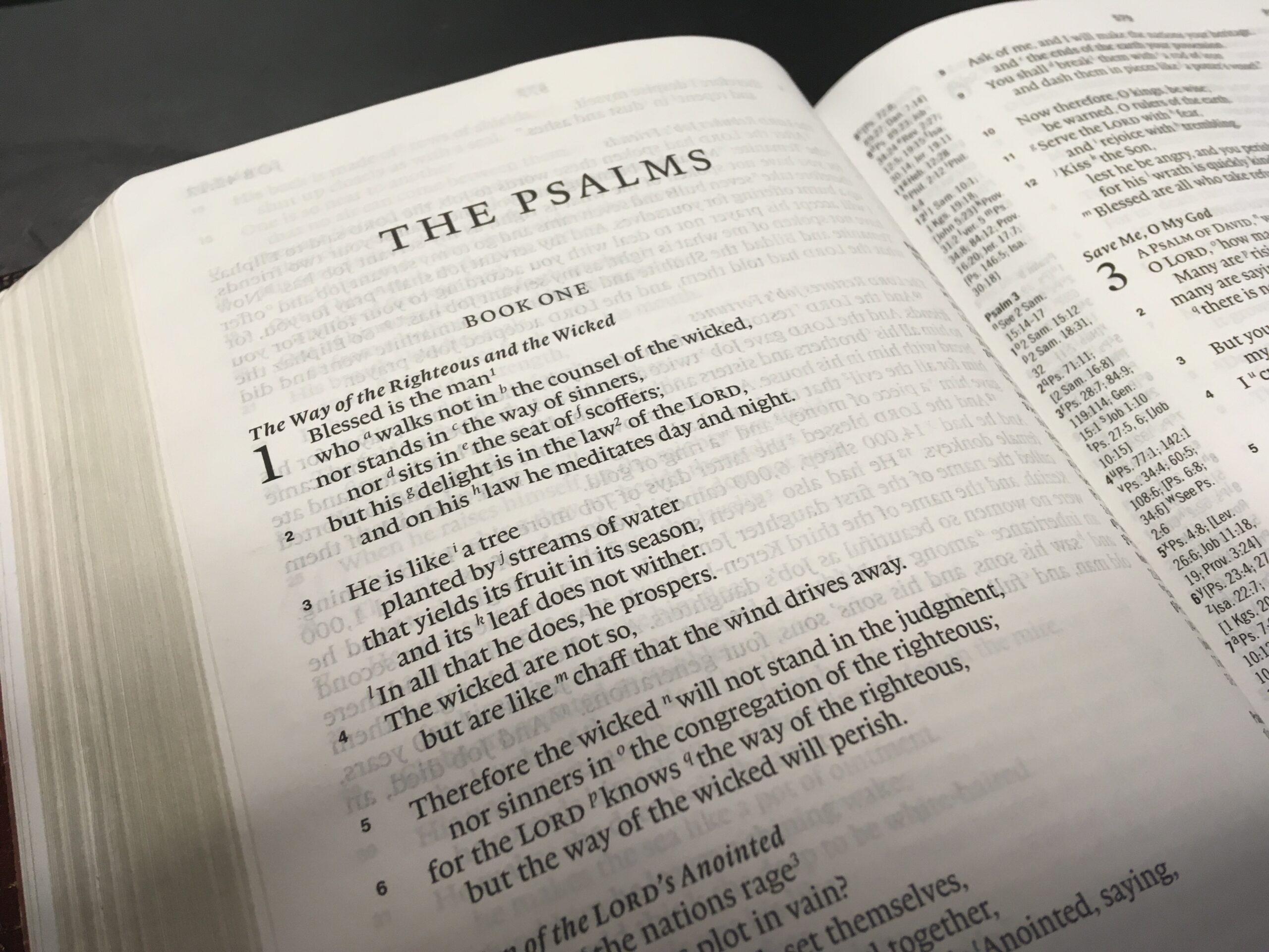 David's Prayer for Escape – Psalm 17 - New Boston Church of Christ